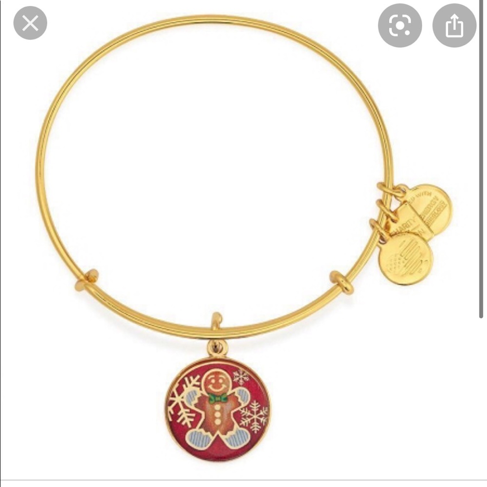 Alex and ani